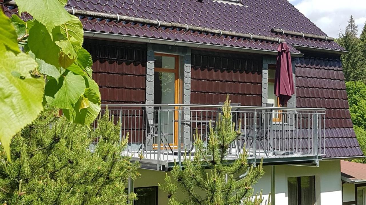 Ferienwohnung Altenbrak Haus Wilde Thale Exterior photo