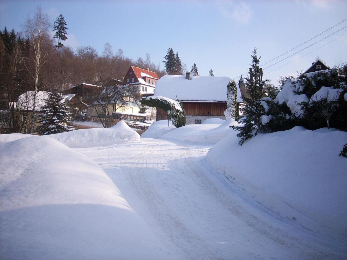 Ferienwohnung Altenbrak Haus Wilde Thale Exterior photo